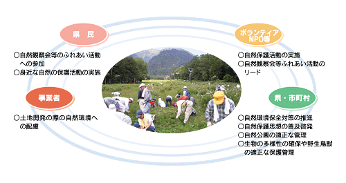 期待される主な主体の役割イメージ