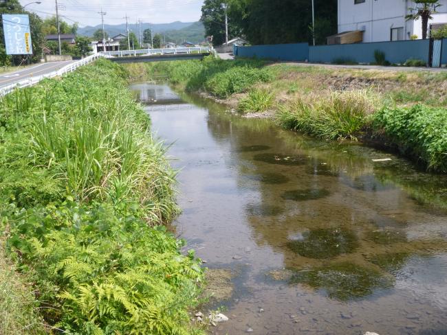 松田川