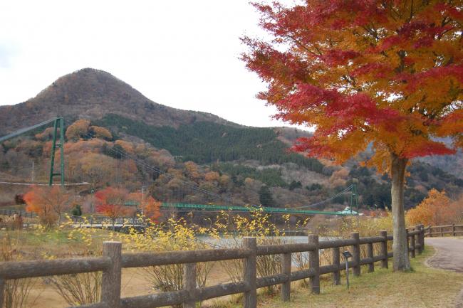 もみじ大橋