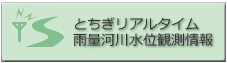 リアルタイム雨量河川水位観測情報 