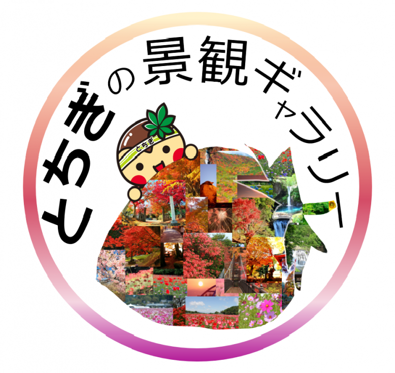 アイコン