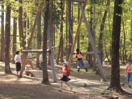 日光だいや川公園にあるアスレチックの写真