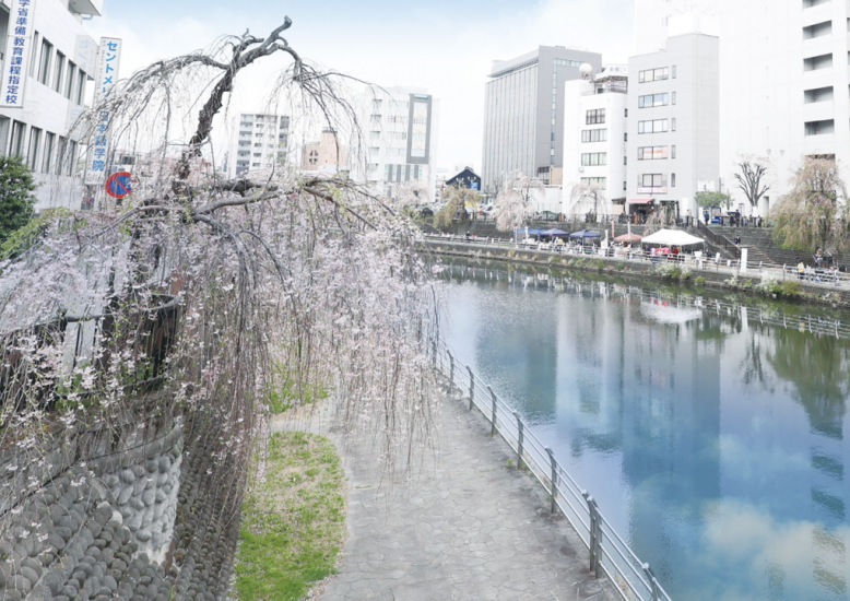 宮の橋上流