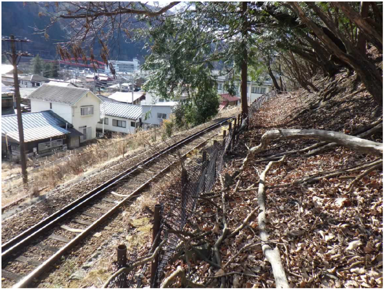 akasawa1
