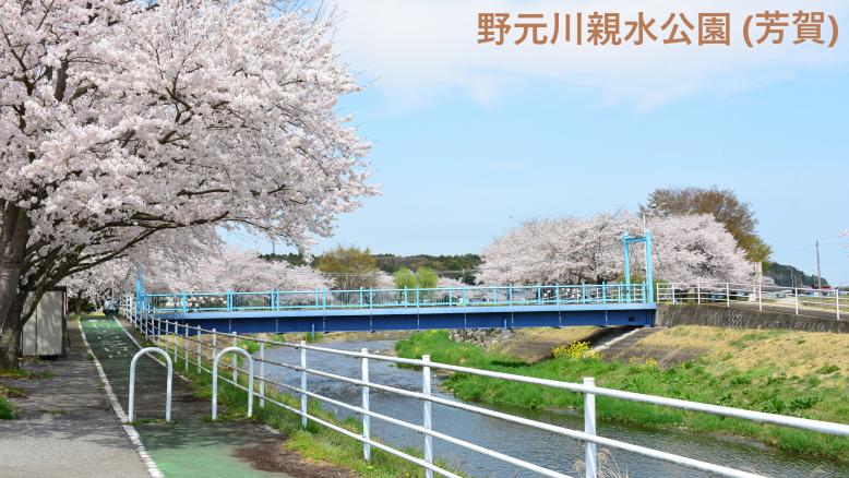 野元川親水公園