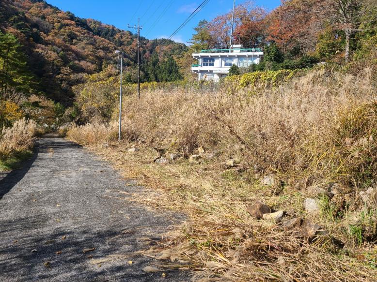 西荒川ダム流木１