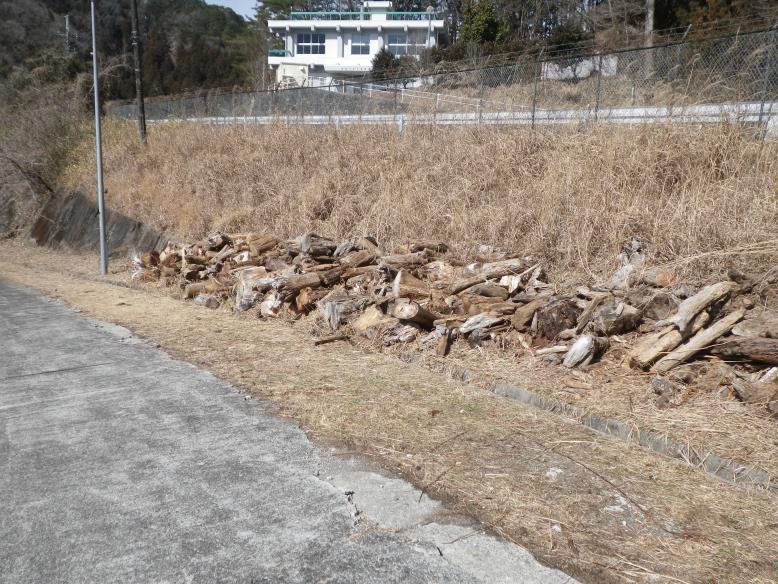 西荒川ダム流木２