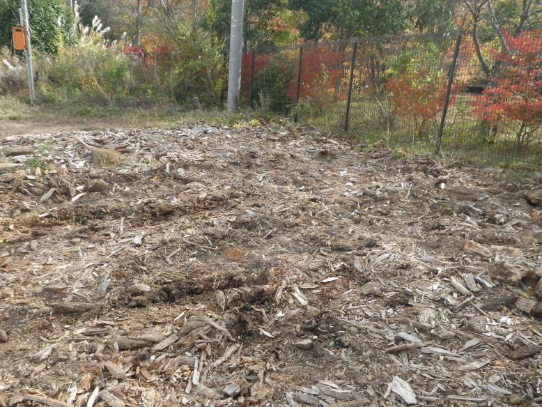 塩原ダム流木１