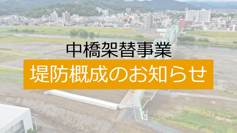 teibougaisei 