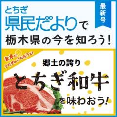 県民だより12月号