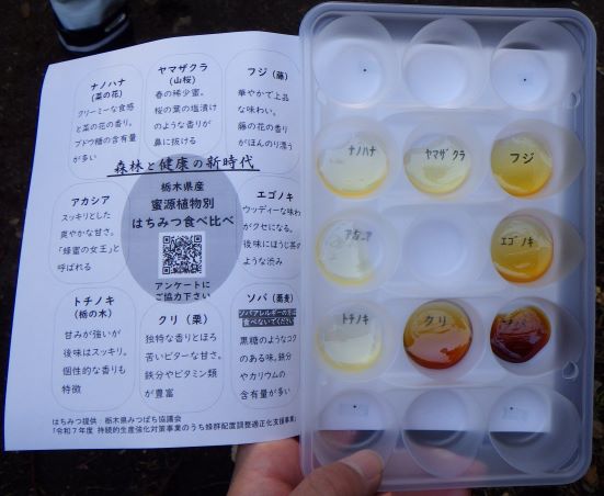 はちみつ食べ比べ