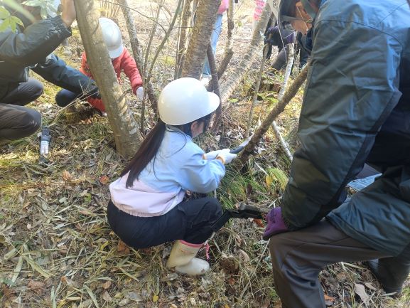 もやかき（枝切り）作業の体験