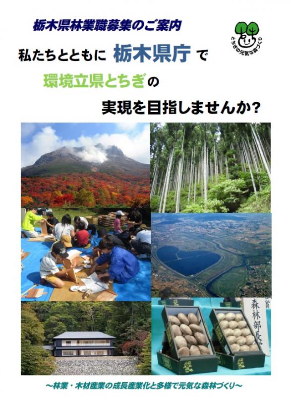 「林業職を目指す方へ」の表紙画像