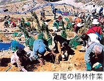 足尾の植林作業