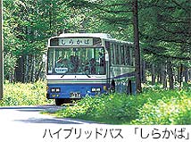 nCubhoX@炩