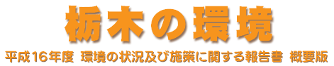 16Nx  ̏󋵋yю{Ɋւ񍐏  Tv