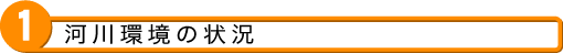 1 河川環境の状況