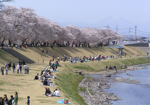 自然とふれあえる親水空間(壬生町 黒川)
