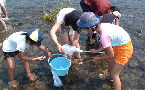 こどもエコ探検隊での水生生物調査