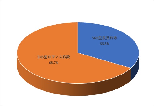6SNS手口