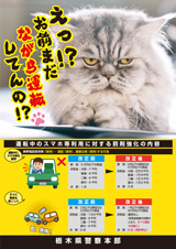 ながら運転ねこ