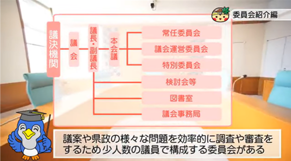 るりちゃん
