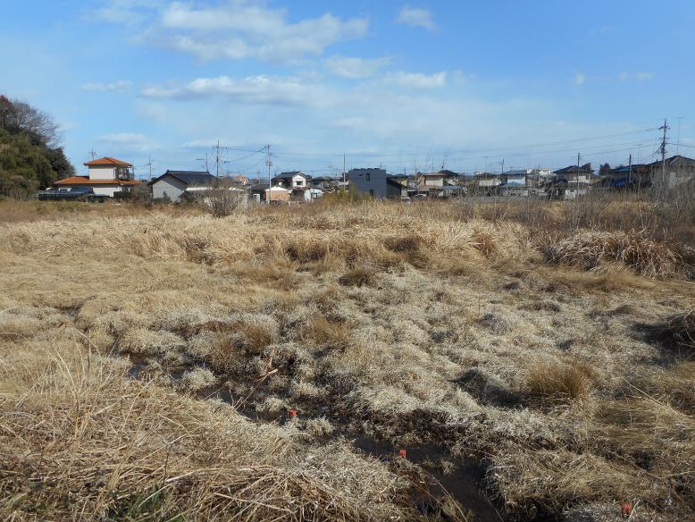 栃木市平井町1065