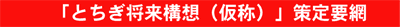「とちぎ将来構想(仮称)}策定要網