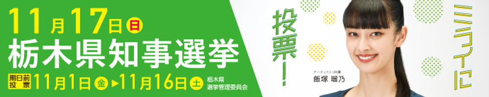 11月17日は栃木県知事選挙及び栃木県議会議員補欠選挙の投票日です
