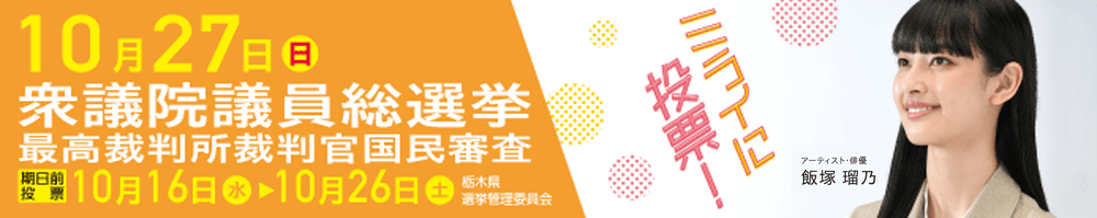 10月27日は衆議院議員総選挙の投票日です