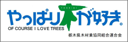 栃木県木材協同組合